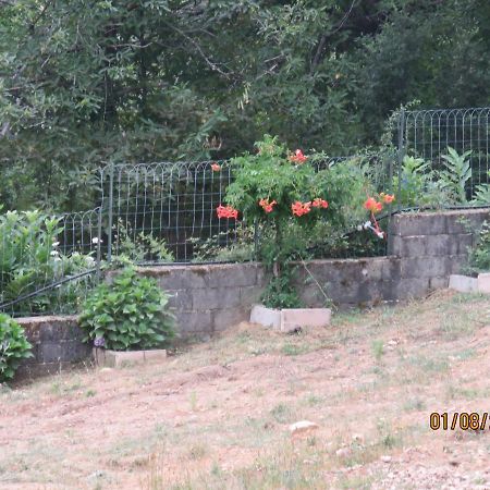 L'Altore Di Savaghju Vivario  ภายนอก รูปภาพ