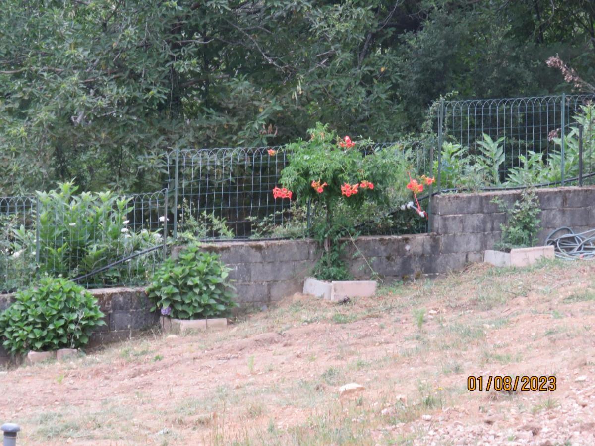 L'Altore Di Savaghju Vivario  ภายนอก รูปภาพ